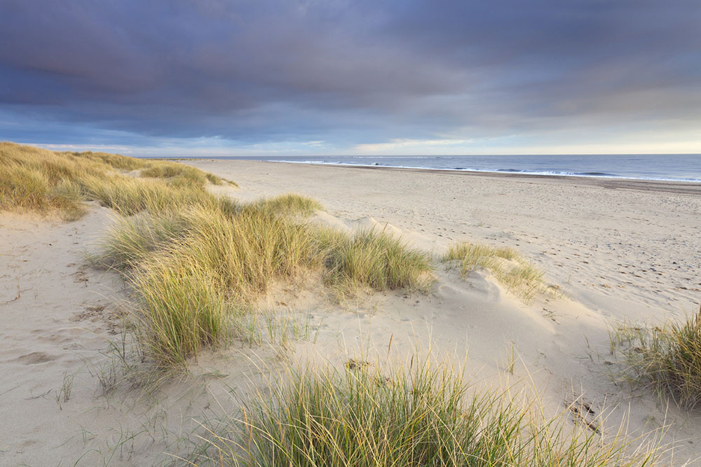 Sand, Sea and Ice Cream, just a short drive away.